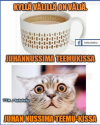 1750349189957.png