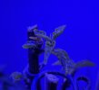 IMG_8211.jpeg IMG_8211.jpeg