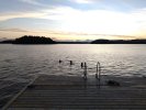 IMG_20230716_223917_HDR (Large).jpg