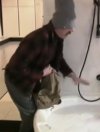asd3.jpg