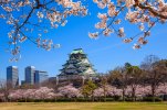 Osaka-Castle-Japan-www.istockphoto.com_gb_photo_osaka-castle-osaka-japan-gm474272268-64549069-...jpg