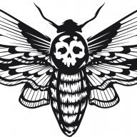 Hawkeater_Moth